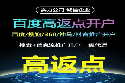 SEM推广案例：揭秘高ROI背后的策略与实践