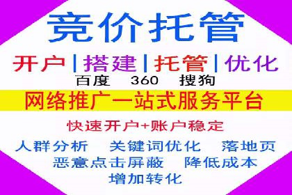 成功运用SEM服务实现品牌快速成长的案例